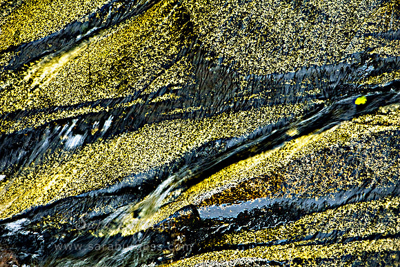 Mt Rainier, Water Flowing Over Rocks