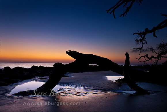 Jekyll Island, GA