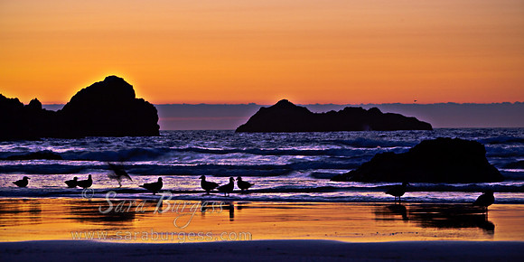 Bandon, OR