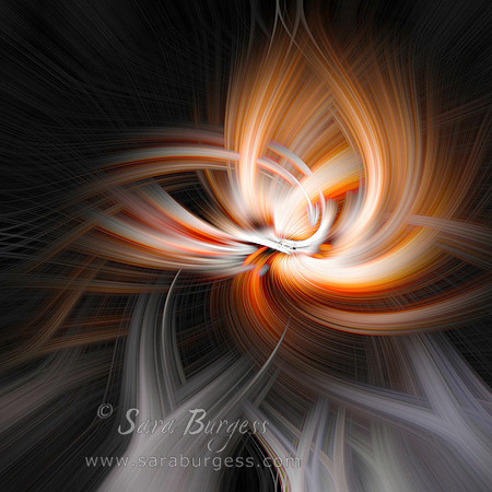 Light