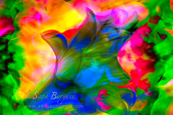 Flower Montage