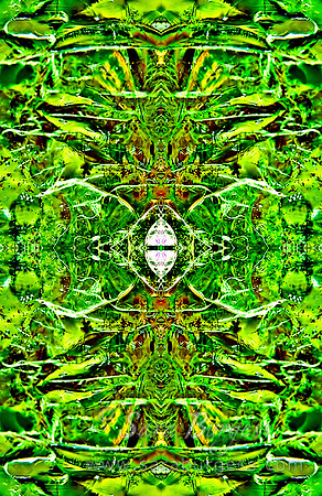 Flower Montage
