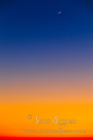 View over the Pacific, Laguna Beach