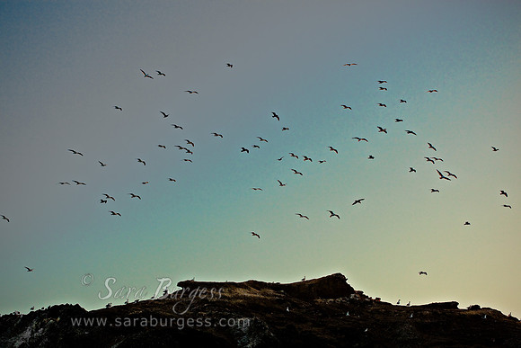 Bandon, OR